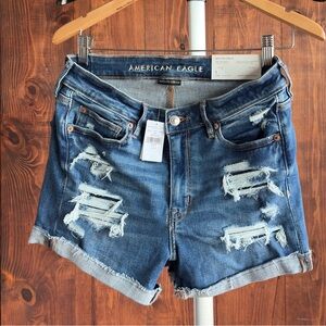 American Eagle Outfitters Women's Ripped Blue Jean Shorts